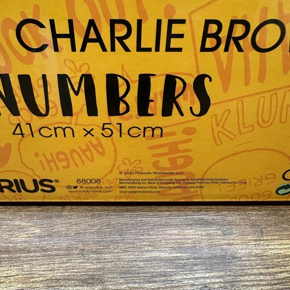 Aquarius Peanuts Starry Night Charlie Brown Art by Numbers Paint Kit 16x20 88008